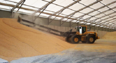 Storage of grains and cereals